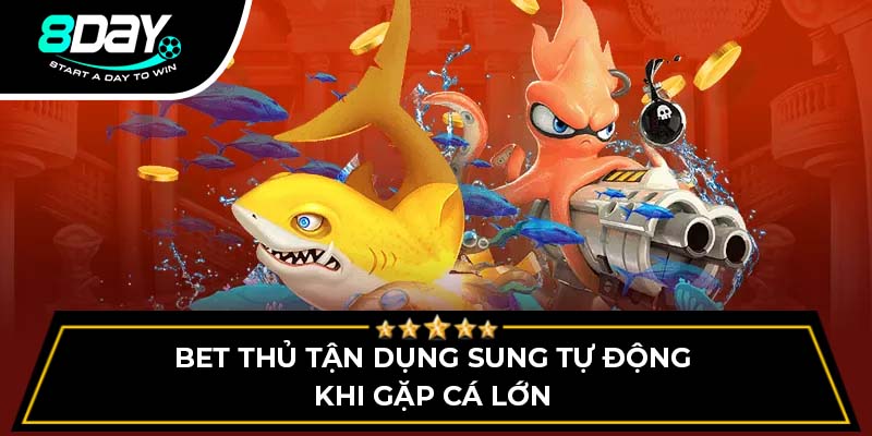 Bet thủ tận dụng sung tự động khi gặp cá lớn Bet thủ tận dụng sung tự động khi gặp cá lớn