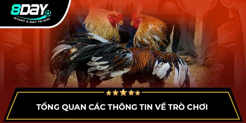 Tổng quan các thông tin về trò chơi