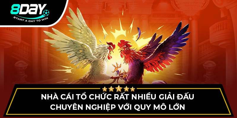 Nhà cái tổ chức rất nhiều giải đấu chuyên nghiệp với quy mô lớn