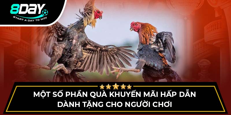 Một số phần quà khuyến mãi hấp dẫn dành tặng cho người chơi